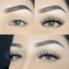 Load image into Gallery viewer, MUA